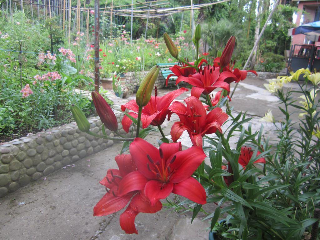 Guest House Elena Makhinjauri Luaran gambar